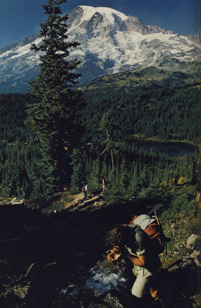 A forest beneath a mountain peak